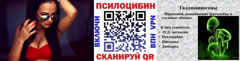 Галлюциногенные грибы Psilocybine cubensis  Шилка 